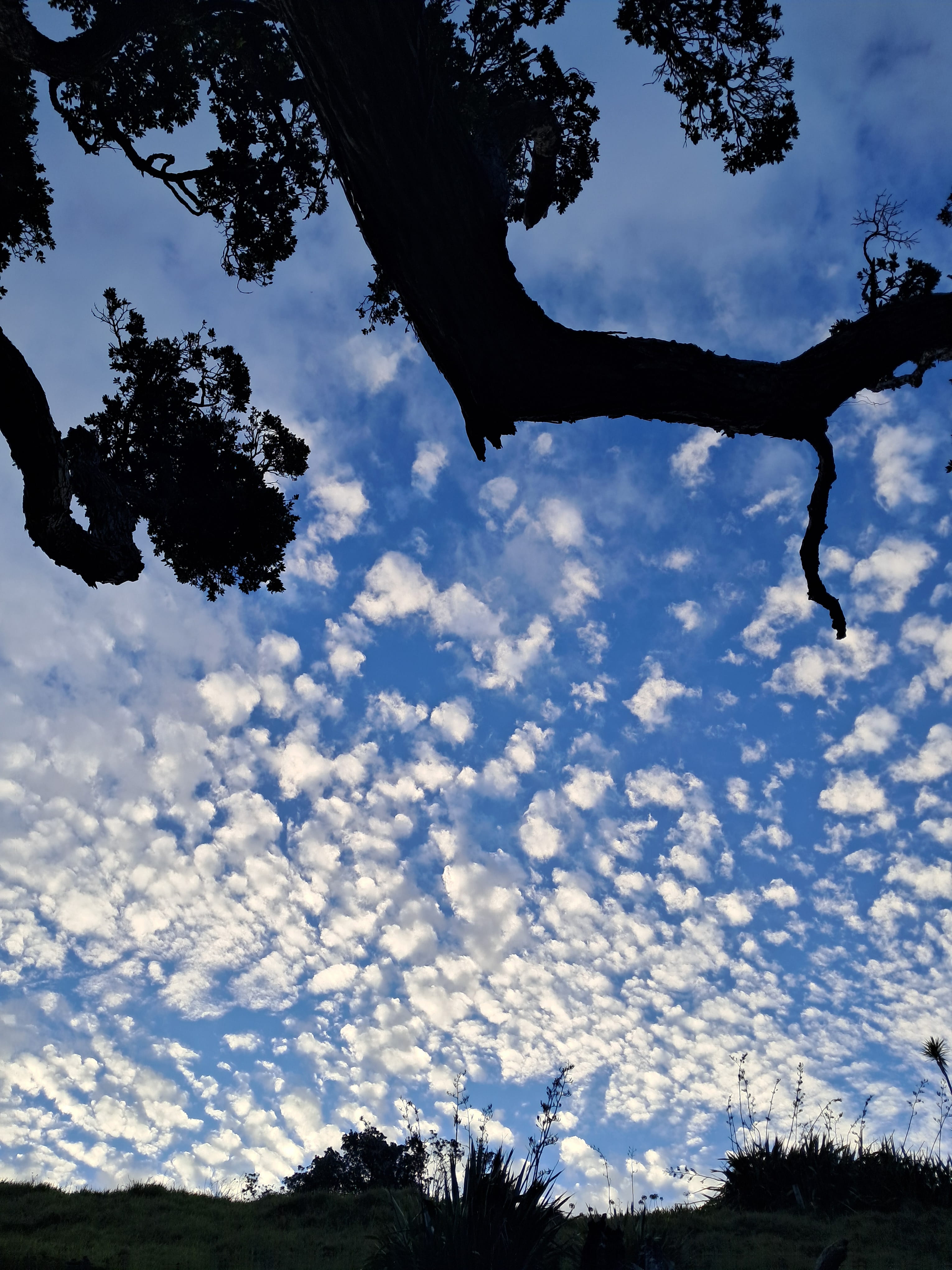 sky clouds compressed